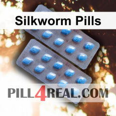 Silkworm Pills 834