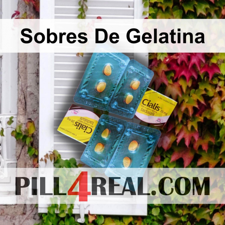Sobres De Gelatina 487