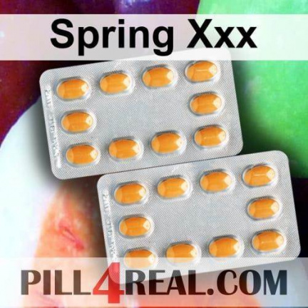 Spring Xxx 739