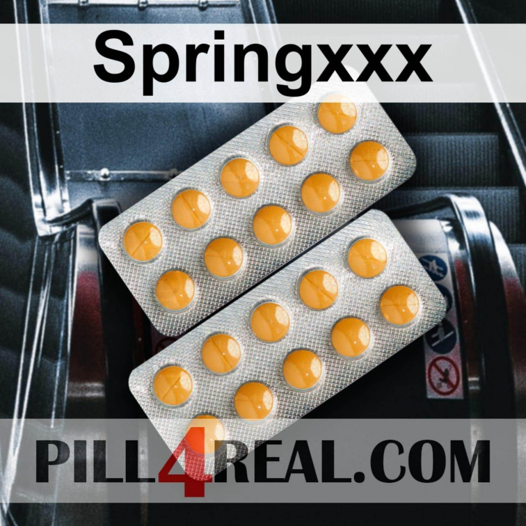 Springxxx 331