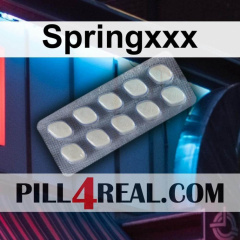 Springxxx 478