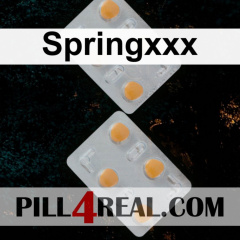 Springxxx 537