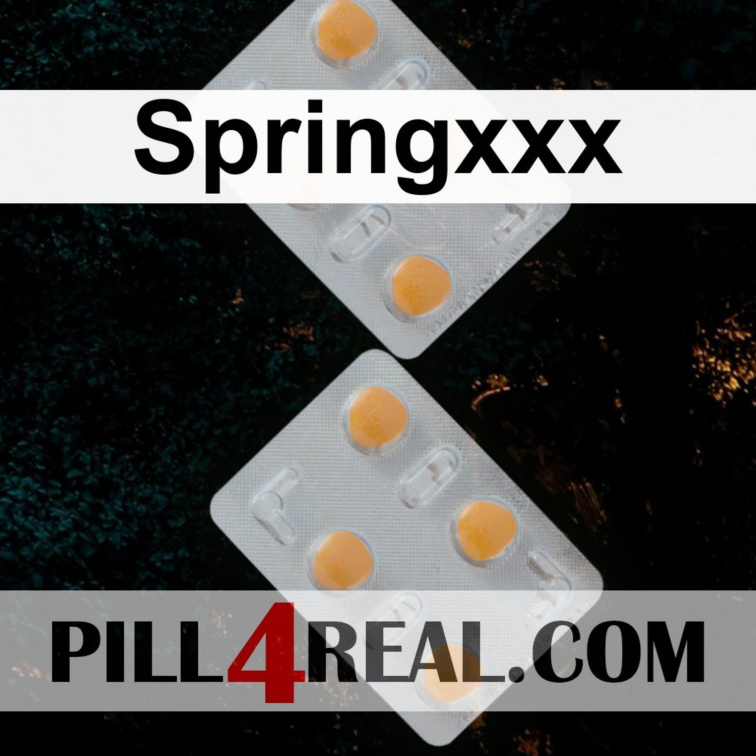 Springxxx 537