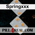 Springxxx 537
