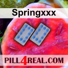 Springxxx 865
