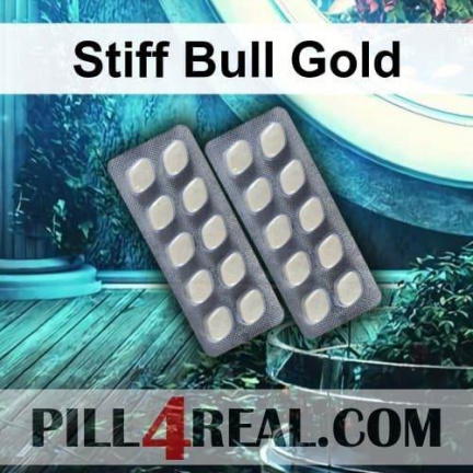 Stiff Bull Gold 241