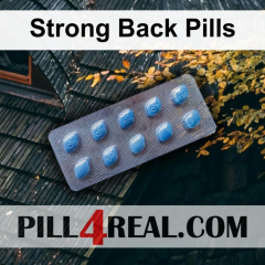 Strong Back Pills 344