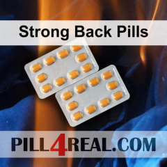 Strong Back Pills 413