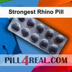 Strongest Rhino Pill 204