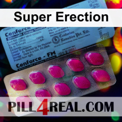 Super Erection 314