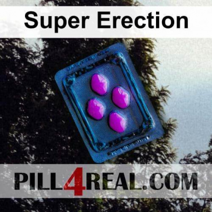Super Erection 734