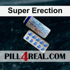 Super Erection 961
