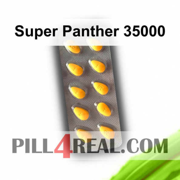 Super Panther 35000 363