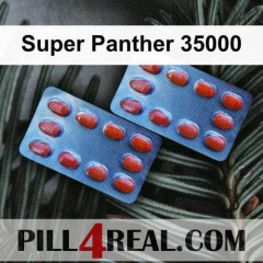 Super Panther 35000 906
