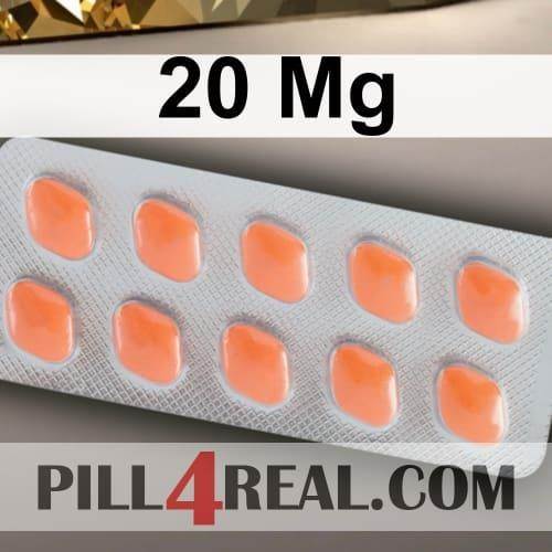 20 Mg 314