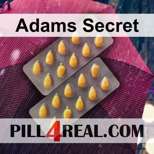 Adams Secret 129