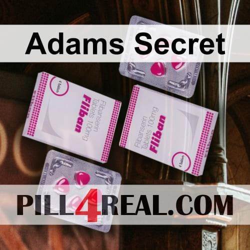 Adams Secret 466