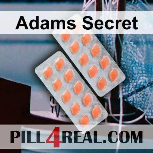 Adams Secret 469