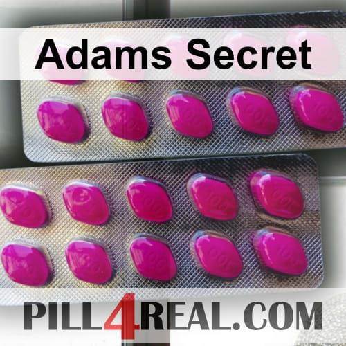 Adams Secret 505