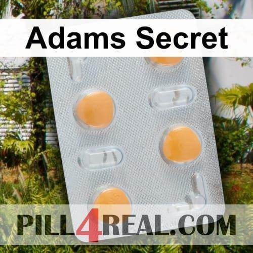 Adams Secret 749
