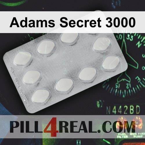 Adams Secret 3000 289