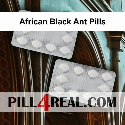 African Black Ant Pills 117