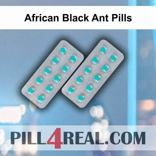 African Black Ant Pills 242