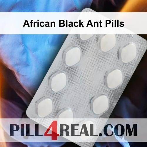 African Black Ant Pills 267