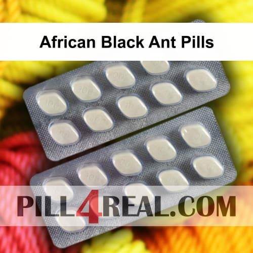 African Black Ant Pills 461