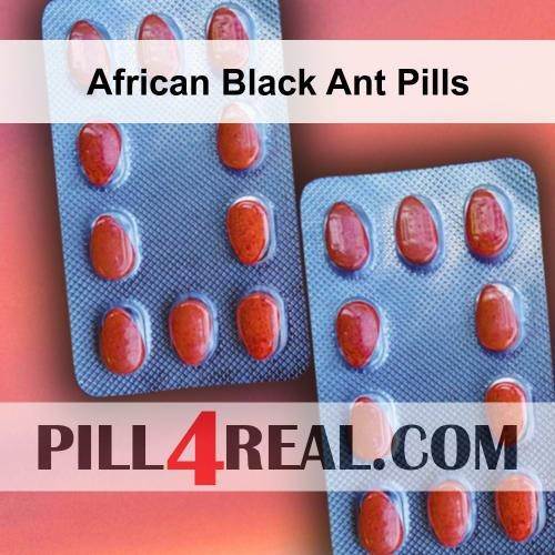 African Black Ant Pills 670