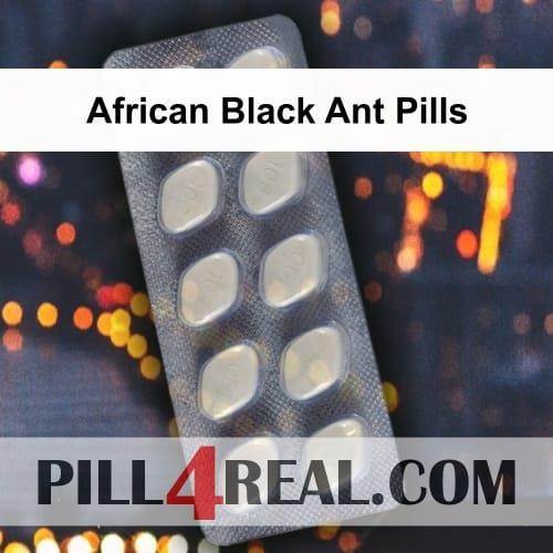 African Black Ant Pills 709