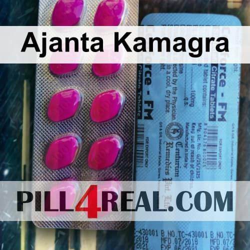 Ajanta Kamagra 256