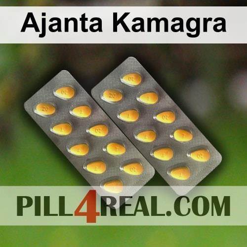 Ajanta Kamagra 732