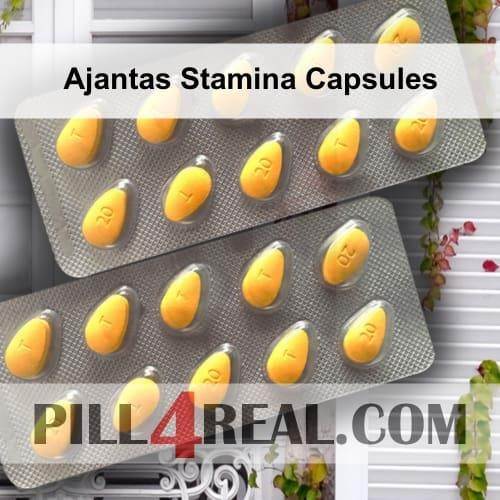 Ajantas Stamina Capsules 426