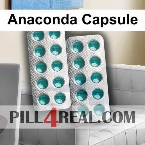 Anaconda Capsule 213