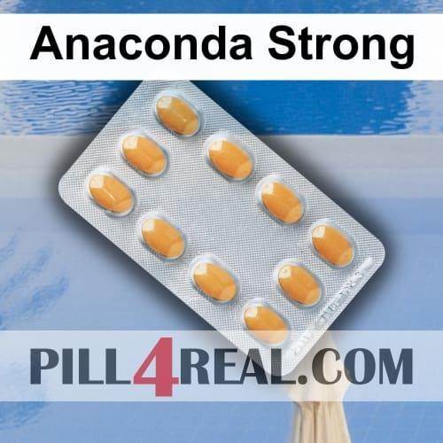 Anaconda Strong 926