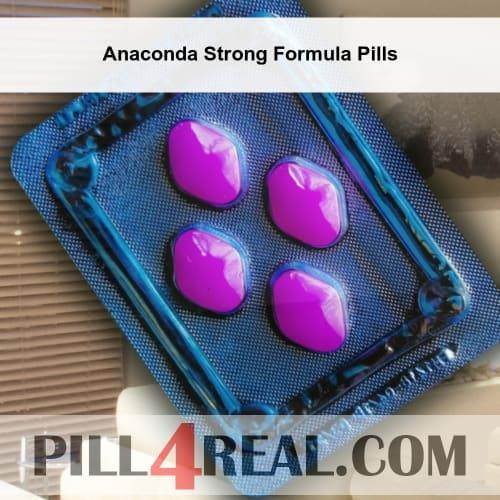 Anaconda Strong Formula Pills 300