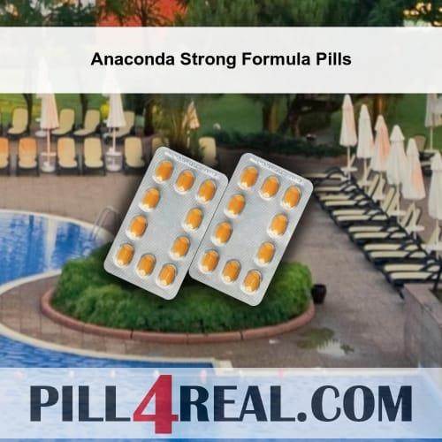 Anaconda Strong Formula Pills 781