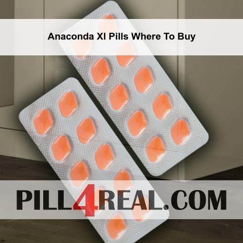 Anaconda Xl Pills Where To Buy 693