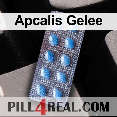 Apcalis Gelee 531