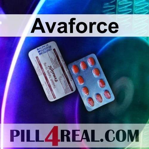 Avaforce 101