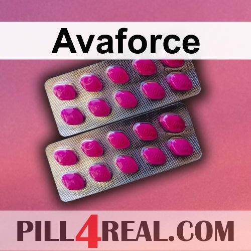 Avaforce 184