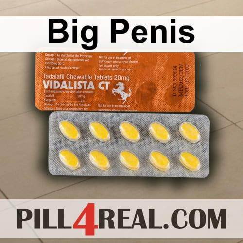 Big Penis 365