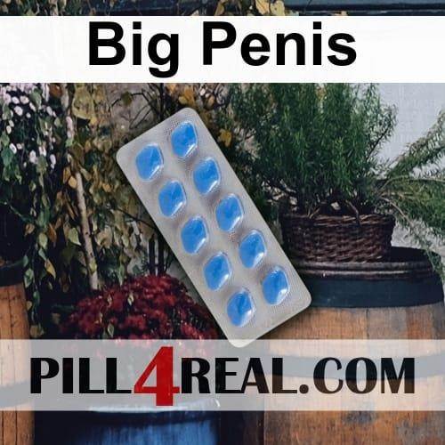 Big Penis 382
