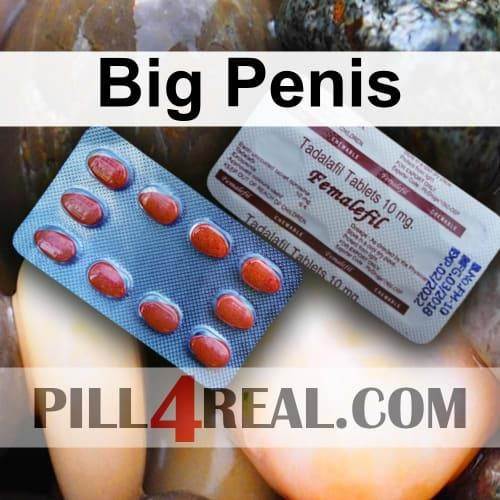 Big Penis 470