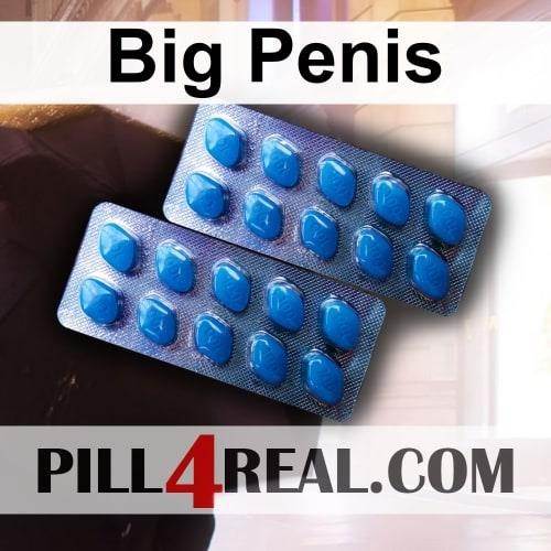 Big Penis 632