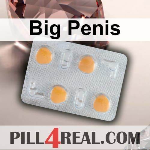 Big Penis 763