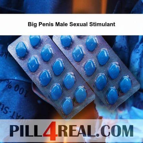 Big Penis Male Sexual Stimulant 650