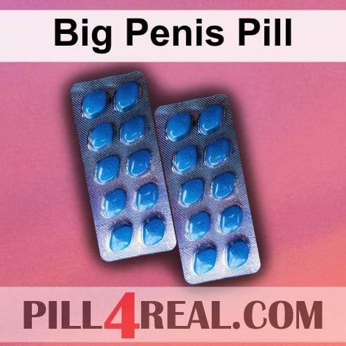 Big Penis Pill 083