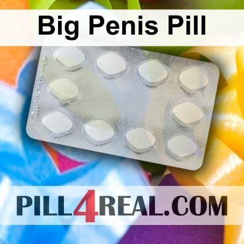 Big Penis Pill 418